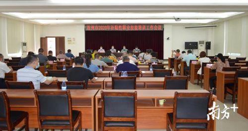 连州推动职业升级 今年计划开展补贴性软件开发技能培训4000人次