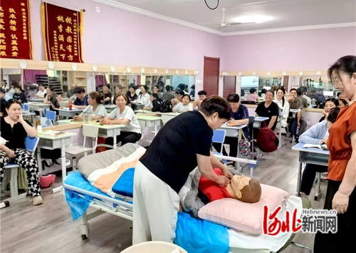 石家庄市桥西区 抓实技能培训，赋能职工就业——市场调查服务助力就业新路径