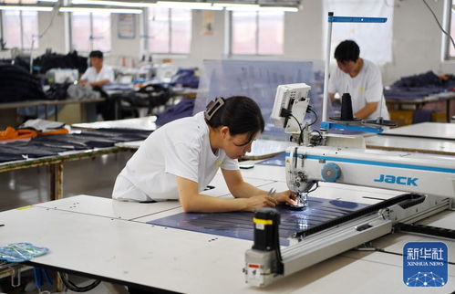 央媒点赞迁安 乡村微工厂打造就业大舞台，职业技能培训激发内生动力